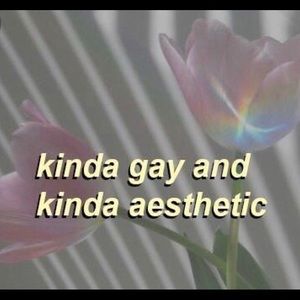 Meet your Posher, Ava